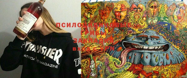 MDMA Premium VHQ Беломорск