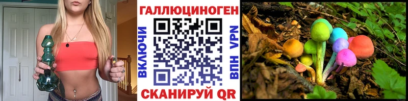 Галлюциногенные грибы Psilocybe  Волгореченск 